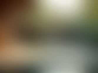 The Effectiveness of Online Wellness Coaching in Supporting Personal Health Journeys