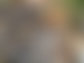 Latest News from NAPHA Issue 03/26