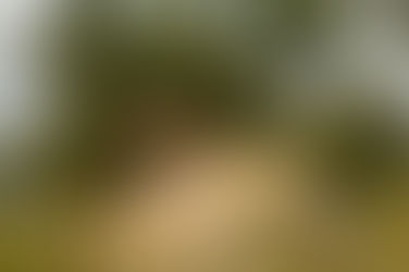 Latest News from NAPHA Issue 04/26