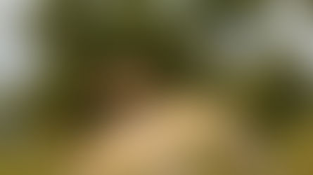 Latest News from NAPHA Issue 04/26