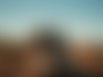 How To Become A Hunting Professional In Namibia