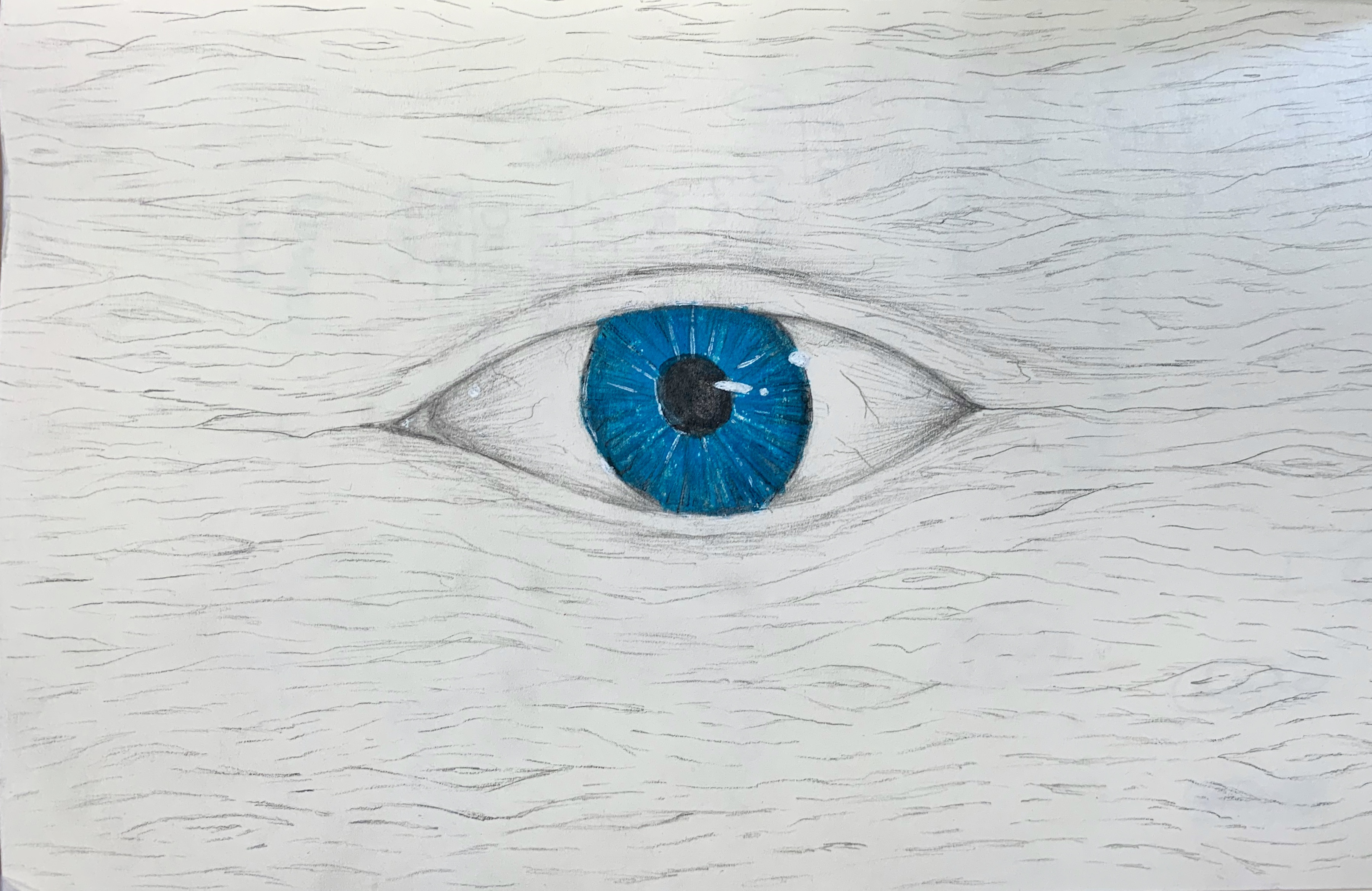 Nadav Lemberger.HEIC