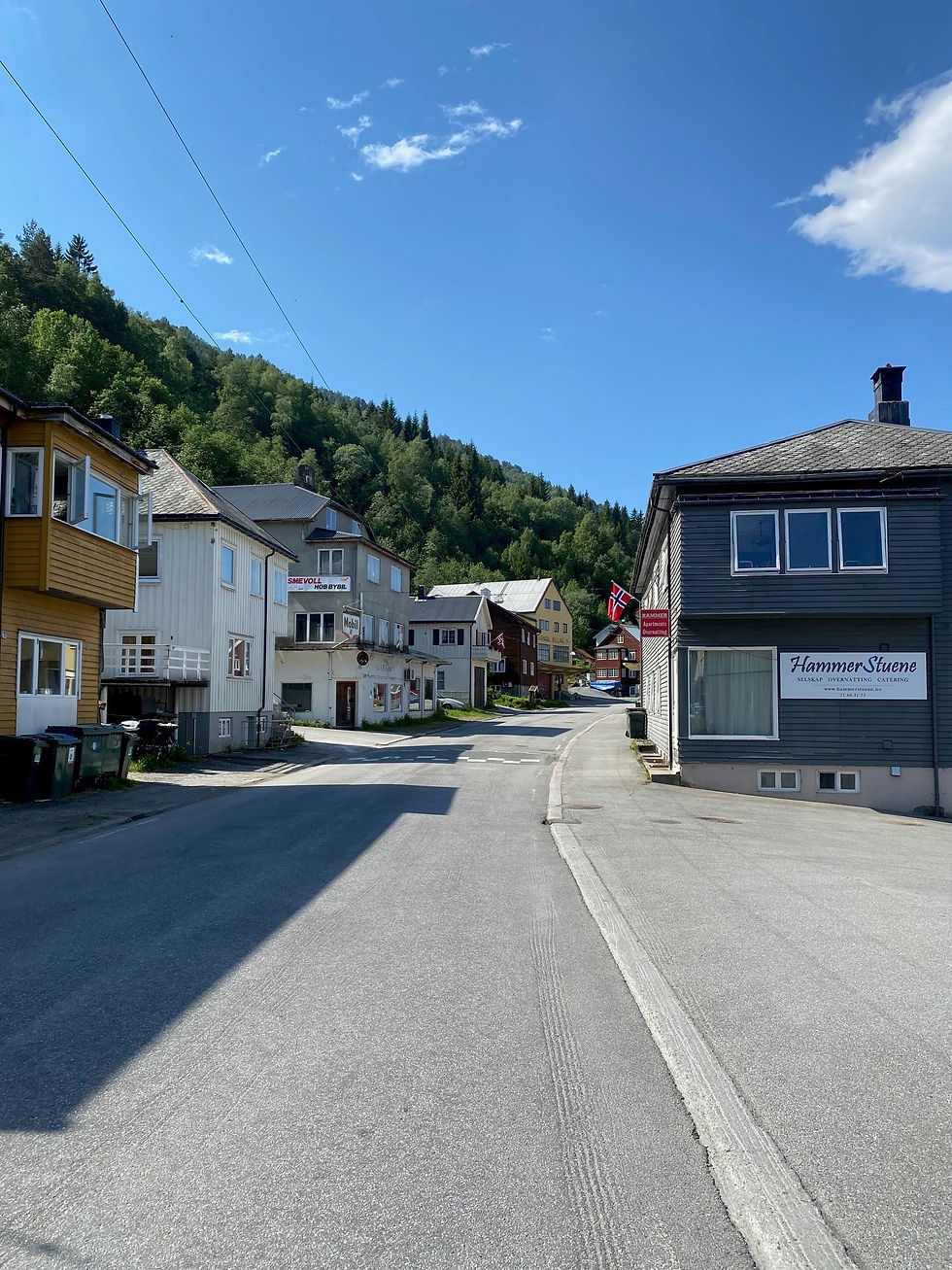 Åpning av lokalmatbutikken Hammers Handleri