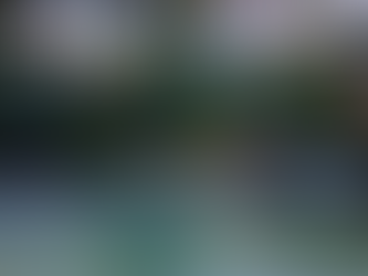 Experience the Magic of Kandy: A Must-Visit Destination in Sri Lanka