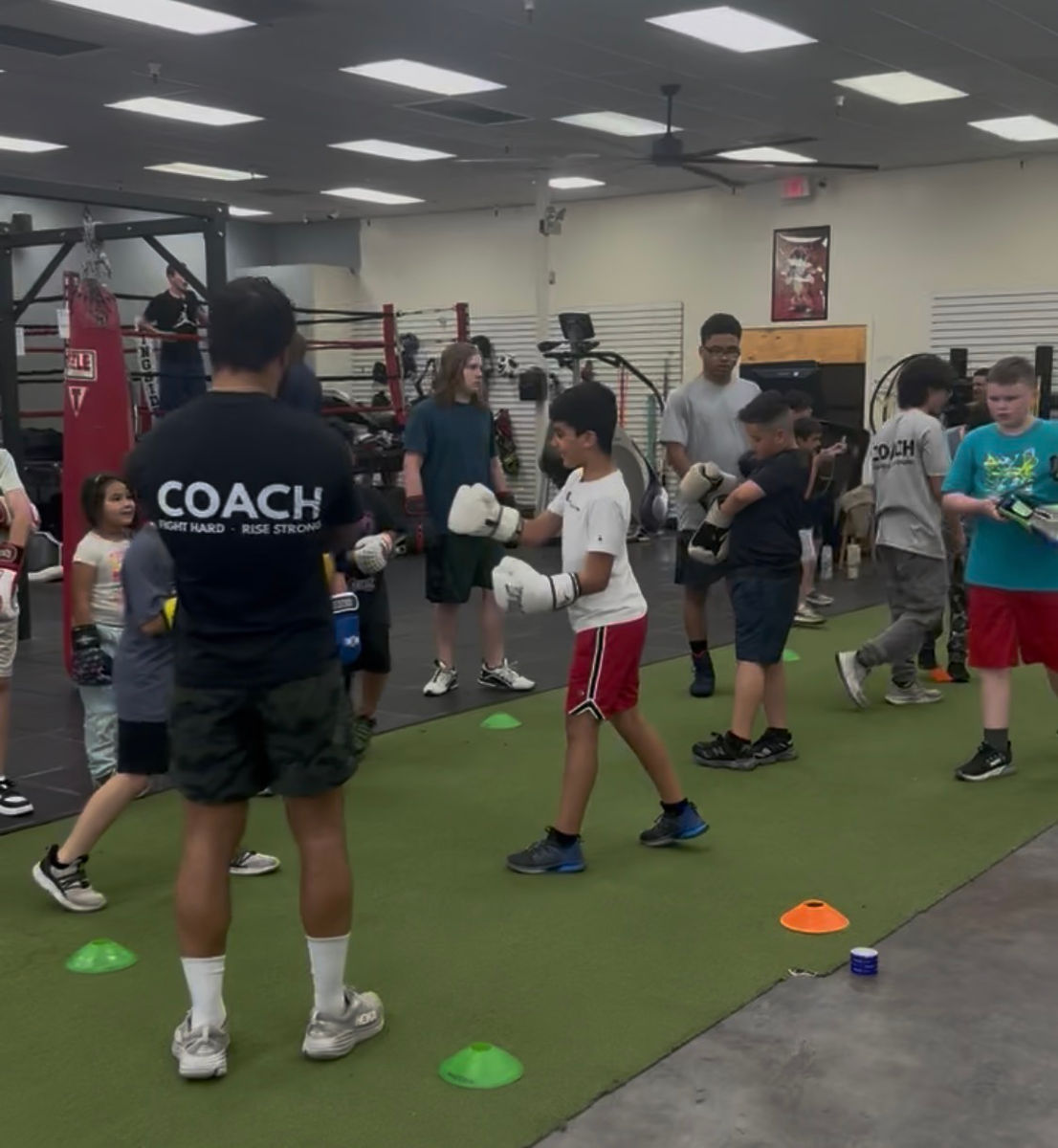 Boxout AZ