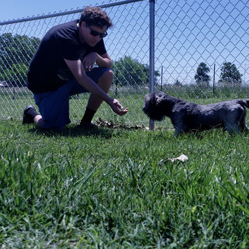 popculturepuppies-videophotos (11).jpg