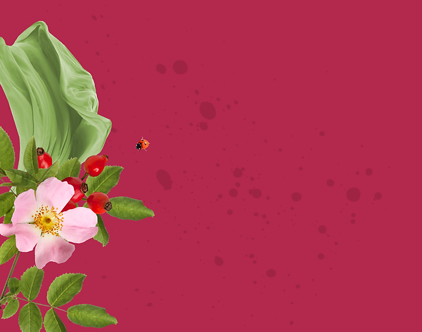 Testimonialbild_mit Hintergrund.png