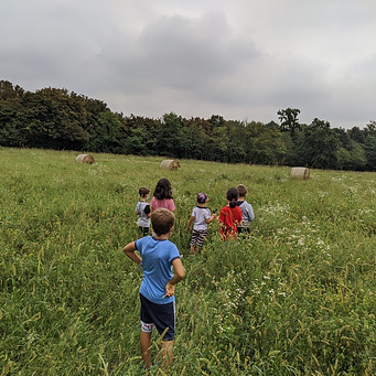 9c169fe6-f400-43e9-8146-bbbbca0097a3.JPG