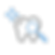 Clean tooth Icon