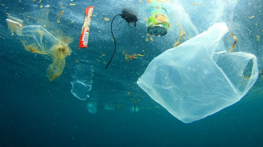 53507_en_5f6bf_50490_plastic-waste-ocean-pollution.webp