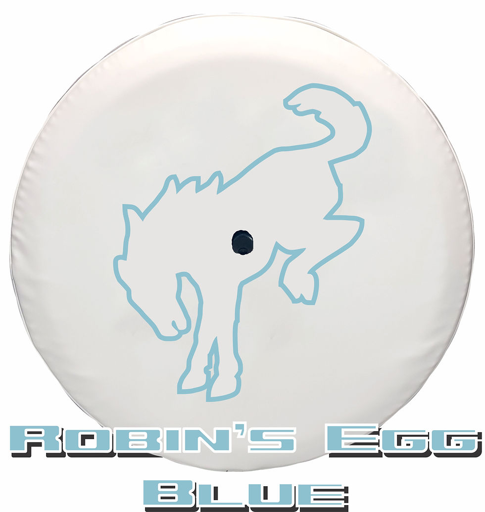 Thumbnail: Ghost White Ford Bronco tire cover with outline bucking bronco in Robin Egg Blue