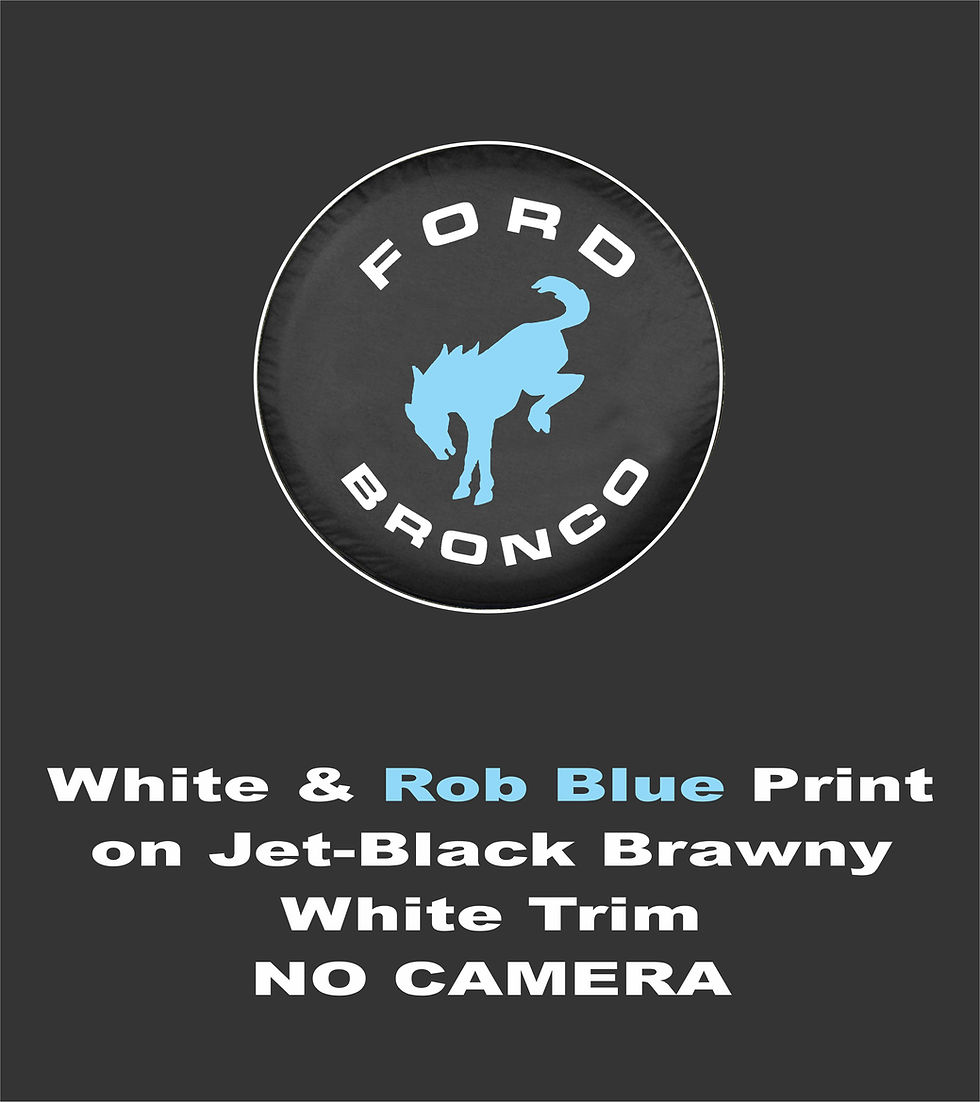 Thumbnail: Brawny New Bronco - Robin's Egg & White - US Made SpareCover® Brand Tire Cover