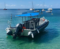 Tropicalsub Diving diving boat