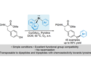 O-ARYLATION OF TYROSINE
