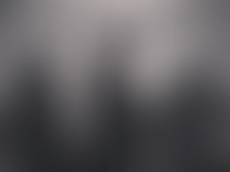 Dinner Party & Benefit