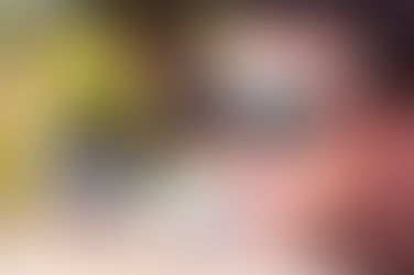 About... William Hazlerigg