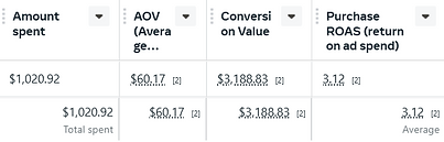 May Meta ad campaign performance metrics highlighting profitable ROAS and scalable Facebook ads by AJ Marketing