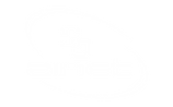 9c1f41_9ea9ba8a70d7493f84a19c504f088616~mv2.png