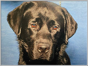 money head shot 2025.jpg