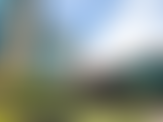 Exposing Vendor Influence and Board Complicity. Case Study of Shiva Ramnarine and The Telecommunication Services of Trinidad and Tobago.