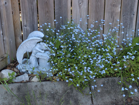 Garden Statue surrounded by Forget-Me-Nots