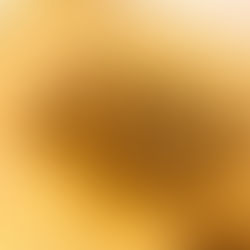 Snickerdoodle Cookies