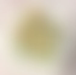 Christmas Rice Krispie Bars