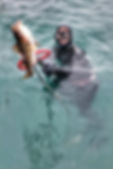 IMG-20170611-WA0037-01.jpeg