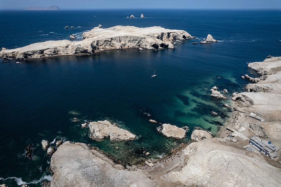 Chincha Island 2