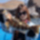 Rockseabass-Lima-Fishing-tour.jpg