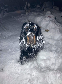 SnowSetter