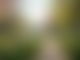 Discover Exciting Activities to Enjoy in Southwick this April