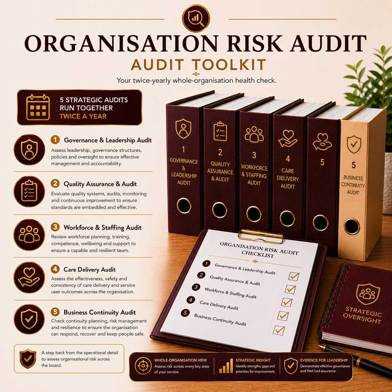 Organisation Risk Audit Toolkit with 5 strategic audit categories