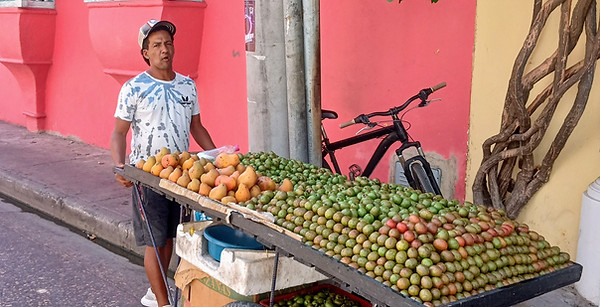 Cartagena Fruit