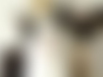 Katzenjahre in Menschenjahre umrechnen