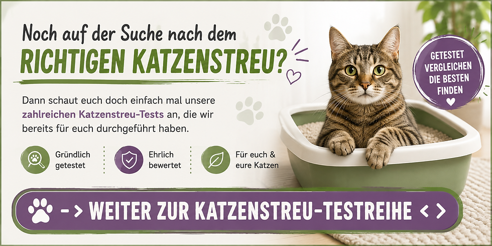 Werbung mit Katze in Katzentoilette; Text zu getesteten Katzenstreu-Tests und Weiter zur Katzenstreu-Testreihe, grün-lila.