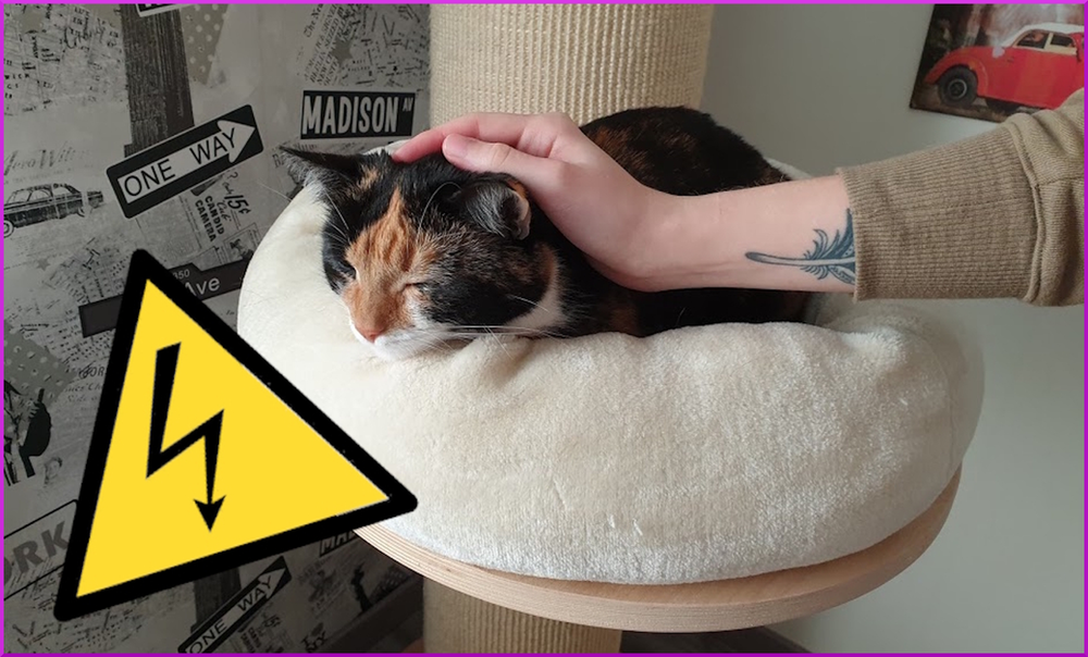 Die Katze lädt sich beim Streicheln statisch auf - Was tun?