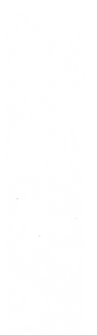 Evelyn_Marina_The_Keeper_Graphic_Element