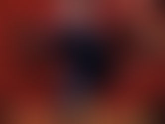 Making the Grade - Donovan Bush Returns