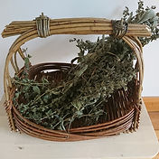 Zarzo Half Day (17).JPG