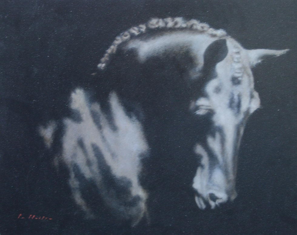 DLM002/2016