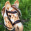 Thumbnail: Hobby Horse Bridle