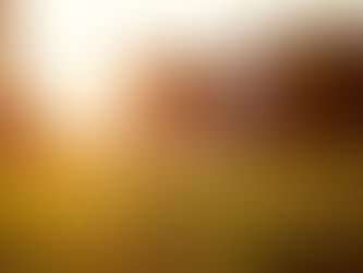 Mini Shooting Freiburg – Kleines Shooting, große Wirkung für natürliche Fotos