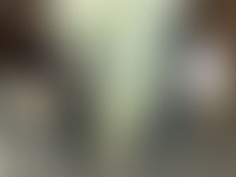 Miotto destaca seus projetos nas áreas de meio ambiente, infraestrutura e tecnologia