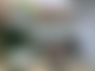 Primeira safra de macroalga de Santa Catarina produz 102,3 toneladas através de quatro produtores