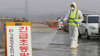 Alerta por brote de gripe H10N3 en China