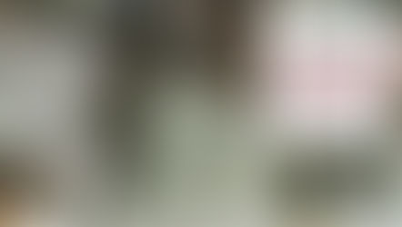 Panfleto de nuevo paro armado de las FARC EP alarmó a la población