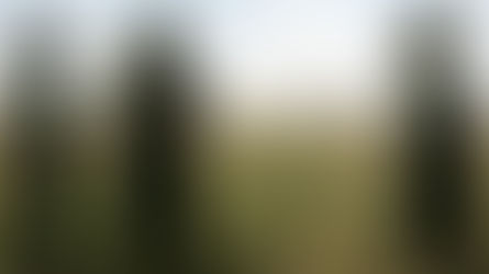 Enfrentamientos entre las FARC y el ELN dejan más de 20 muertos