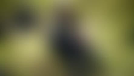 EUA saca de la lista de grupos terroristas a las FARC