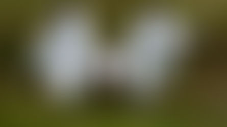 Hayan sin vida dos hombres en zona rural en municipio del Sur de Bolívar
